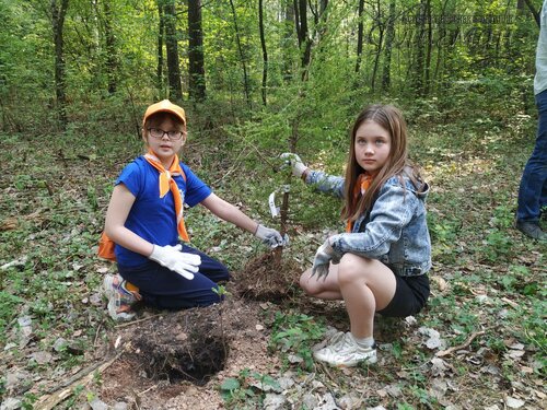 photo_6_2023-05-23_22-21-56